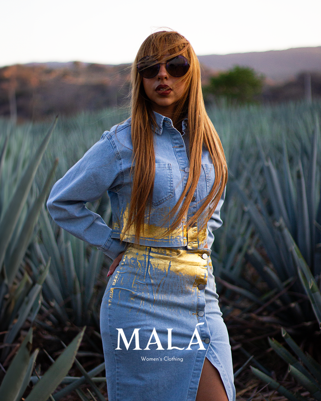 SET AGAVE