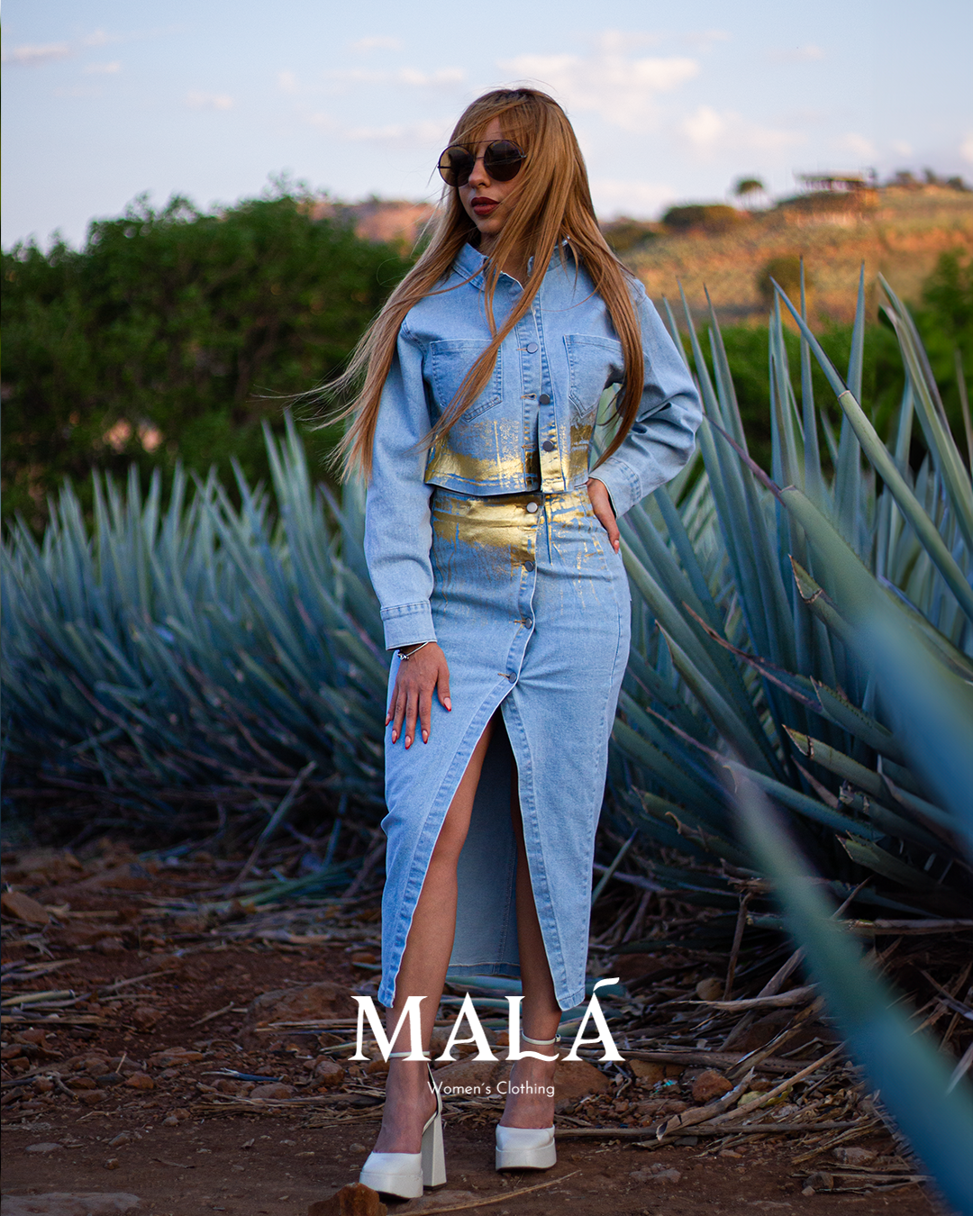 SET AGAVE